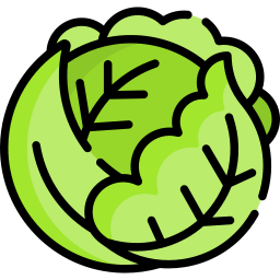 Lettuce icon