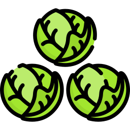 Brussel sprouts icon