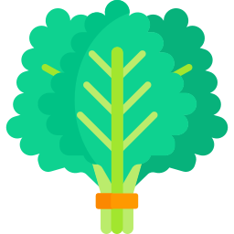 grünkohl icon