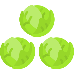 Brussel sprouts icon