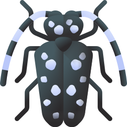 Citrus long horned beetle icon