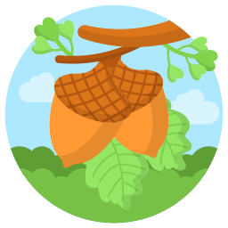 Oaknut icon