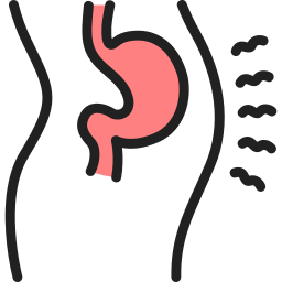 Stomach icon