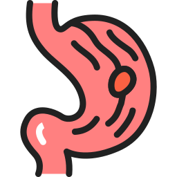 Stomach icon