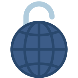 Internet security icon