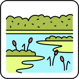 Swamp icon