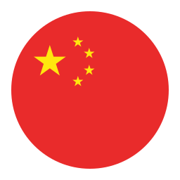 中国 icon