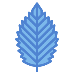 Leaf icon