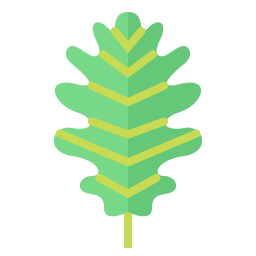 Leaf icon