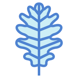 Leaf icon