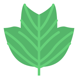 Leaf icon