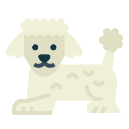 Poodle icon