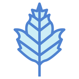 Leaf icon