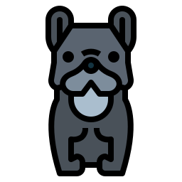 franse bulldog icoon