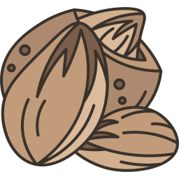 Almond icon