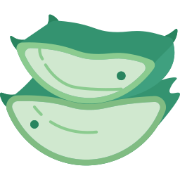 aloe vera icon