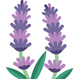 lavanda icono