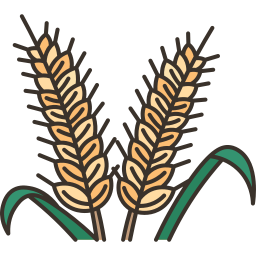 Wheat icon