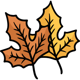 Maple leaf icon