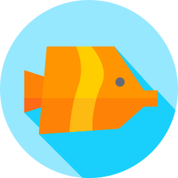 Butterfly fish icon