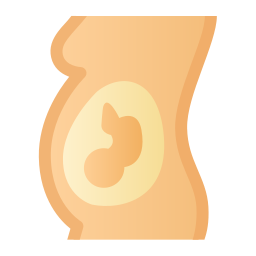 grávida Ícone