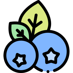 Blueberry icon