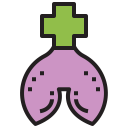 fegato icona