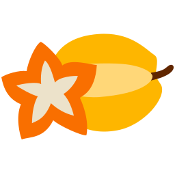 Star fruit icon