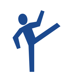 taekwondo icon