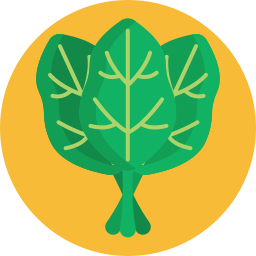 Spinach icon