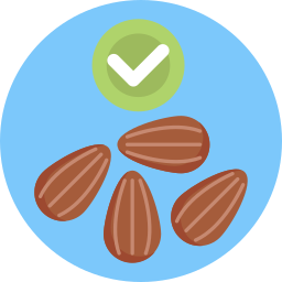 Nuts icon