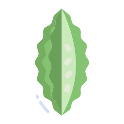 Bitter gourd icon