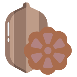 Cocoa icon