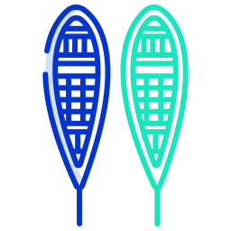 Snowshoes icon