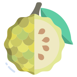 Custard appel icon