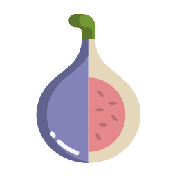 Fig icon
