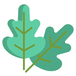 참나무 잎 icon