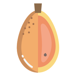 kumquat icona