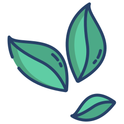 las hojas de coca icono
