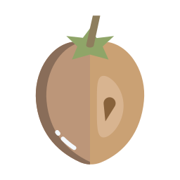 Sapodilla icon