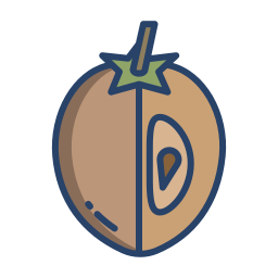 Sapodilla icon