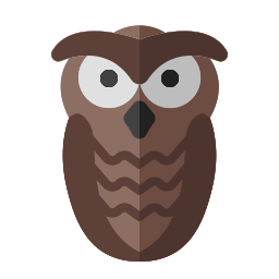 hibou Icône