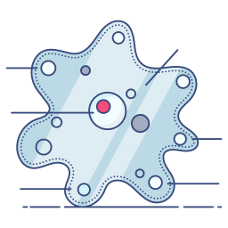 Amoeba icon