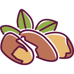 бразильский орех иконка