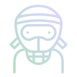 ninja icon