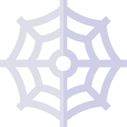 Spiderweb icon