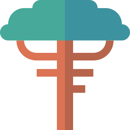 Дерево араукария иконка