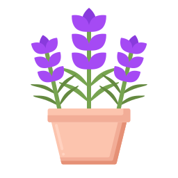 lavanda icono