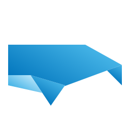 Whale icon