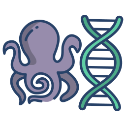 Octopus icon